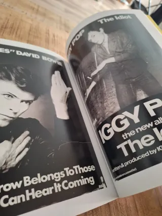 Libro Cult Rock Posters Bowie, Iggy, Blondie...
