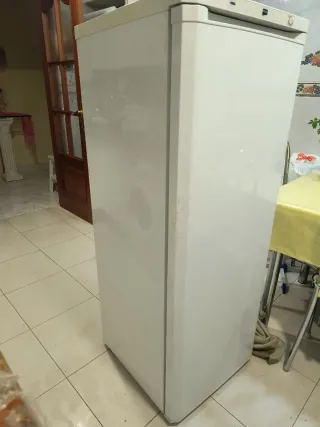 Congelador vertical 7 compartimentos