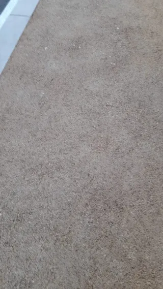 Giacca in pelle Ferrari prima linea