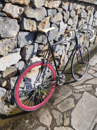 Bicicleta Fixie con frenos