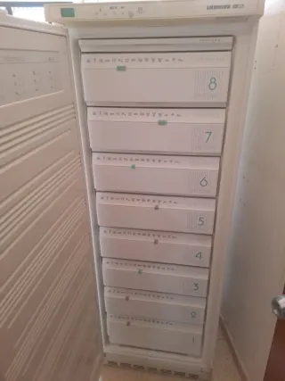 Mueble de madera, frigorífico y congelador