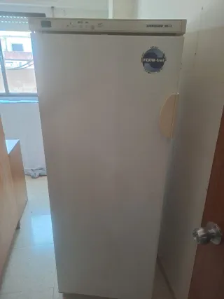 Mueble de madera, frigorífico y congelador