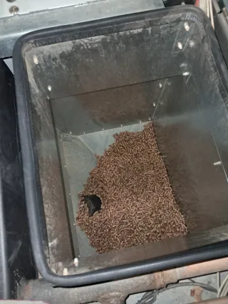 Caldera de pellets BRONPI hydropolar 21