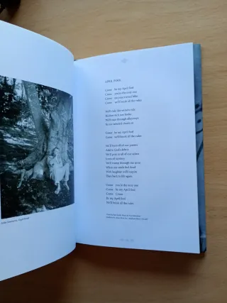 Patti Smith Banga Edición Especial CD Libro