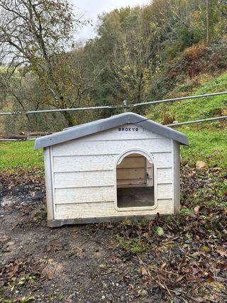 Caseta para perro mediano (20kg)