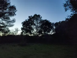 Vendo 2 tancas en Menorca, a las afueras de Alaior