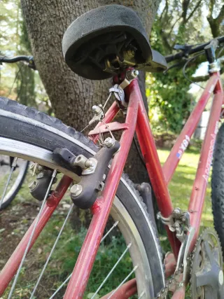 Bicicleta roja de montaña