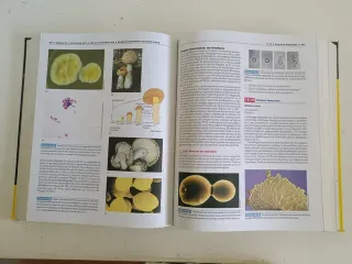 Brock, Biologia de Los Microorganismos, 10 edic...