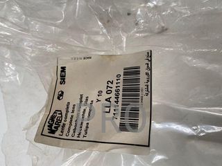 Tulipa Lancia y 10 LLA072 nuevo