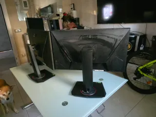 Lote 3 Monitores Asus VG248QG 24 165Hz