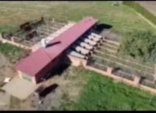 -▪Finca Huelva Pistachos 6,5Ha 385.000€