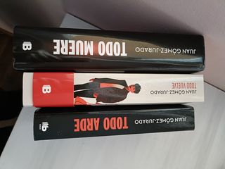 Todo arde (edición limitada) (Todo arde 1)