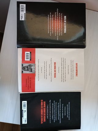 Todo arde (edición limitada) (Todo arde 1)