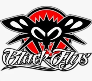 Gafas de sol Black Flys