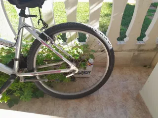 Bicicleta de mujer plateada