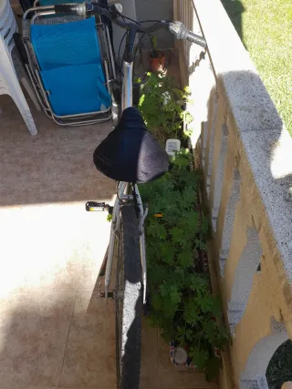 Bicicleta de mujer plateada