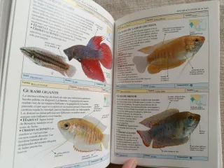 Libro Peces de Acuario: Guía Visual
