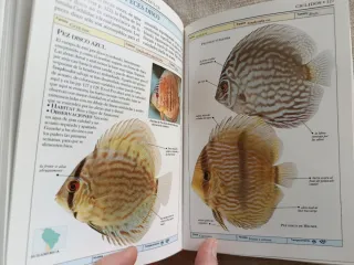 Libro Peces de Acuario: Guía Visual