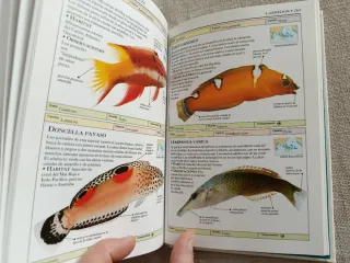 Libro Peces de Acuario: Guía Visual