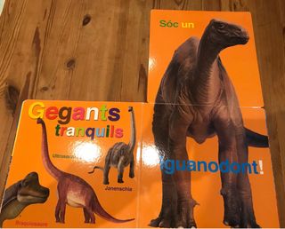 Lote Cuentos infantiles 6€