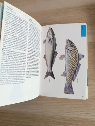 Lote de 2 libros Aves acuáticas y peces de Blume