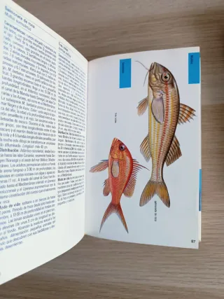 Lote de 2 libros Aves acuáticas y peces de Blume
