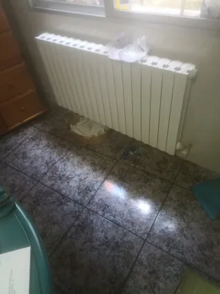 Radiadores de hierro fundido