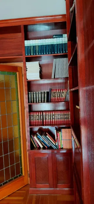 Librería de salón madera oscura