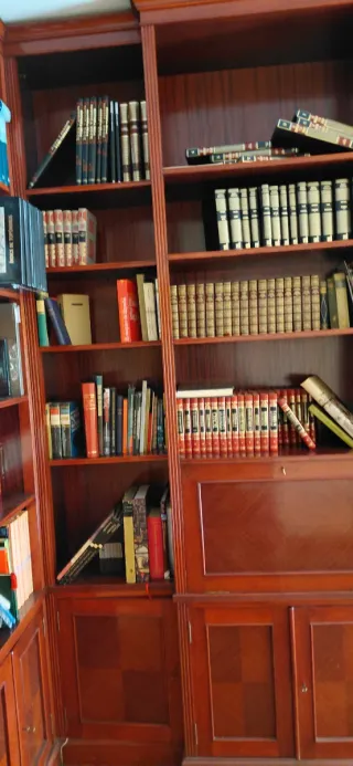 Librería de salón madera oscura
