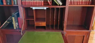 Librería de salón madera oscura