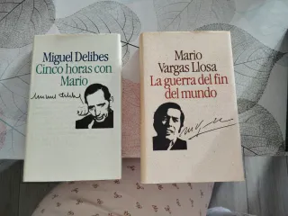 Dos libros de Miguel Delibes y Mario vargas llosa
