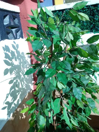 Árbol artificial interior/exterior