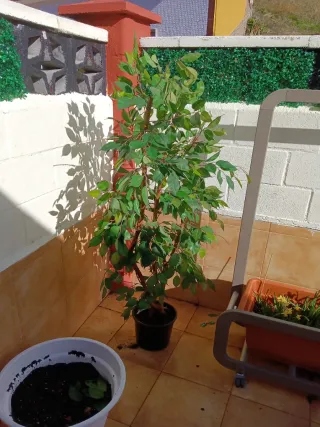 Árbol artificial interior/exterior