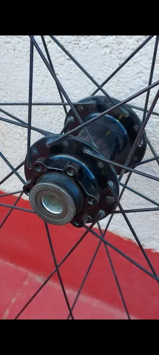 Ruedas MTB 29 WTB STX i21