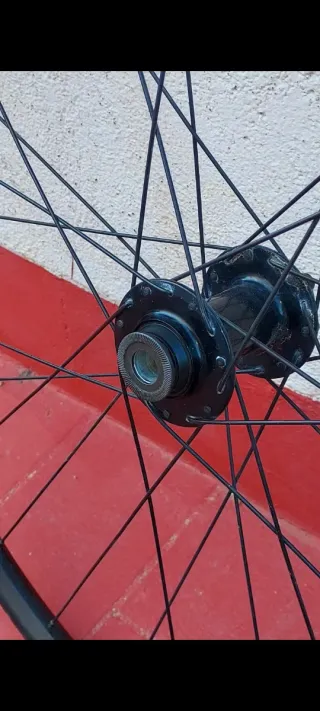 Ruedas MTB 29 WTB STX i21