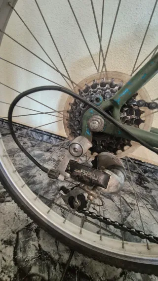 Bicicleta Montaña Verde