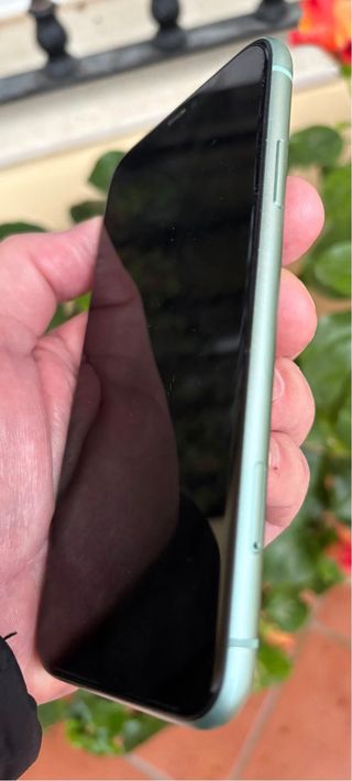 iPhone 11 Verde 128 GB