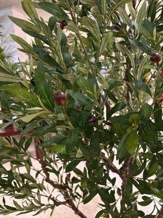 Olivo artificial 240 cm, nuevo