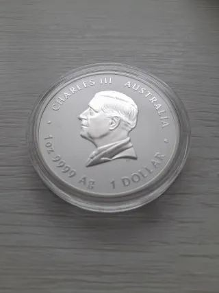 Moneda Plata 1 Onza Columnario 2025