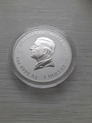 Moneda Plata 1 Onza Columnario 2025