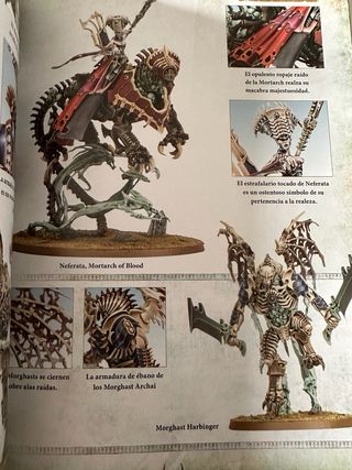 Tomo de batalla Legión of Nagash