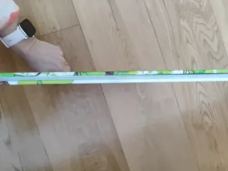 La vocecita (Spanish Edition)