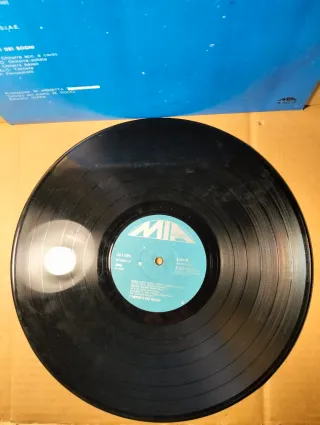 Disco vinile LP 33 giri - I Teppisti Dei Sogni