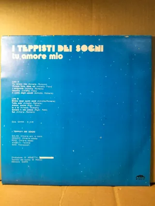 Disco vinile LP 33 giri - I Teppisti Dei Sogni