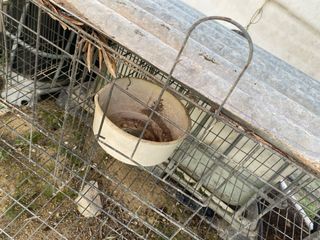 Jaulón para animales