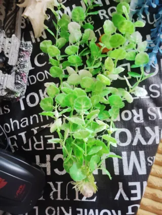 Oxigenador y Decoración Acuario Pecera Peces