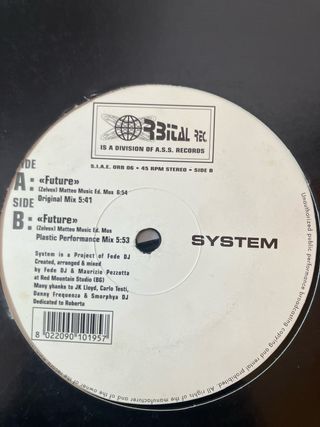 Vinilo System - future