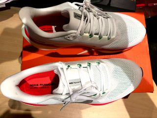 Zapatillas Nike Pegasus 41