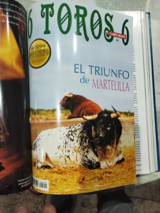 Revistas 6 Toros 6 - Colección 2002 tomo 3