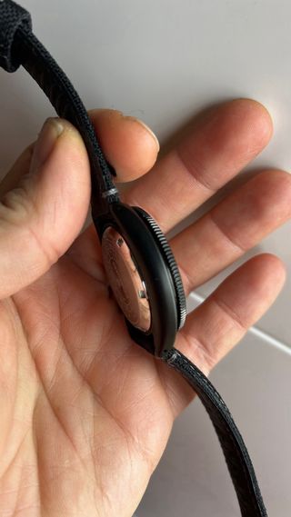 Seiko Land Tortuga Black Series Nightvision